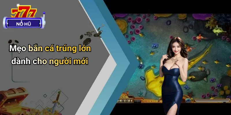 Mẹo Bắn Cá Trúng Lớn: Bí Quyết Thắng Lớn Từ Cao Thủ 3 Mẹo Bắn Cá Trúng Lớn
